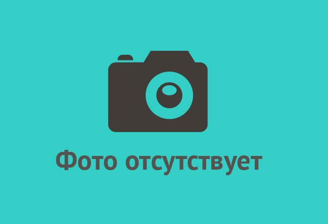 Заказать прослушку телефона.