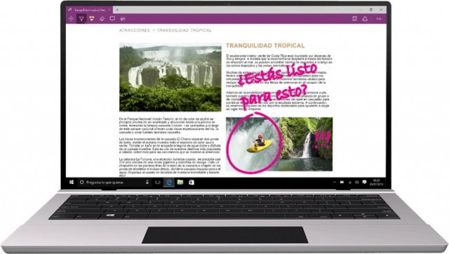 Теперь можно сообщать об ошибках в Microsoft Edge хэштегом #EdgeBug